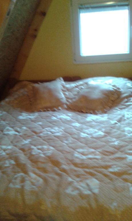 Apartment Mg Žabljak Eksteriør billede